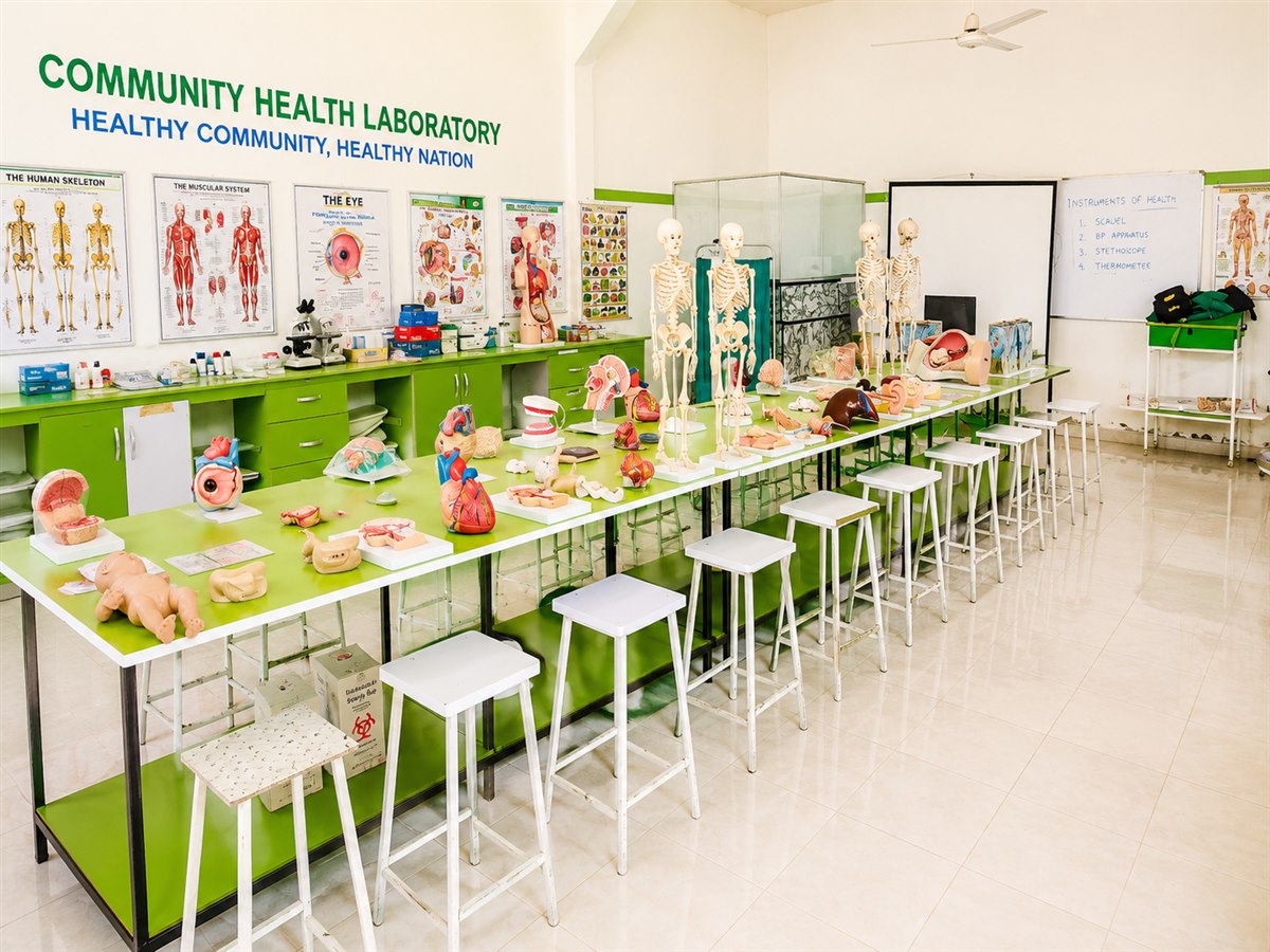Community Health Laboratory anatomy charts and skeleton models